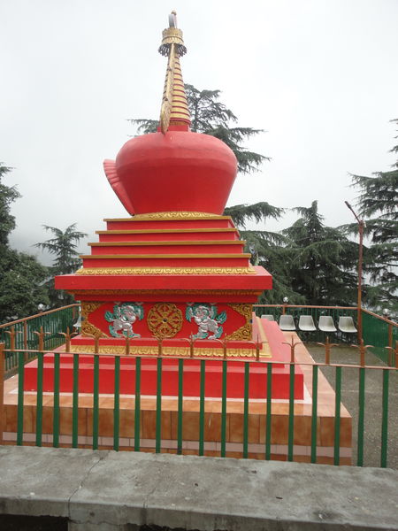 Photo of Tibetan Freedom Struggle in McLeod Ganj