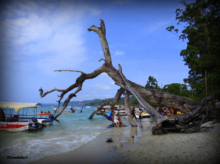 Andamans The Coral Treasures Of India Part 3 Havelock