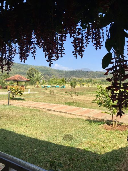 Photo of Exploring Chikmagalur- 'land of coffee plantation'