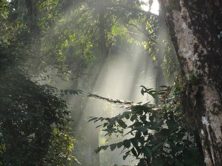 Photo of 10 Pictures that Prove North Bengal is truly Nature's Love Affair !!