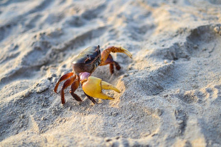 Photo of Pondicherry - Give time a break ! 