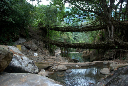 Photo of Things to do in Meghalaya