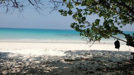 Photo of Honeymoon alert! Andaman & Nicobar, Island of green and blue beaches