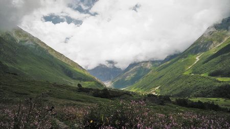 Photo of Valley of Flowers, Auli and a taste of heaven!
