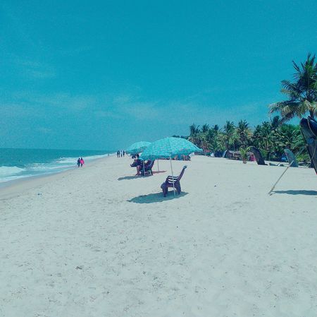 Photo of Lush green Tea estates and unending Backwaters - Munnar and Alleppey -Kerala 