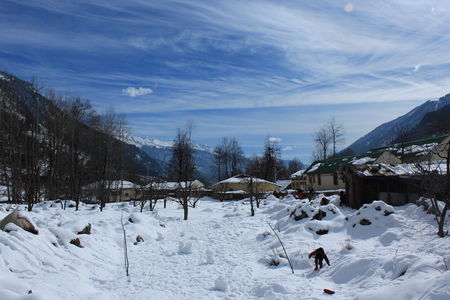Photo of Manali amidst the Snow