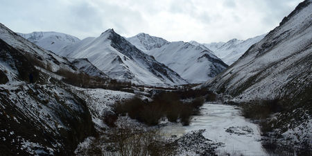 Photo of This Ladakh Trek In The Quest Of The Elusive Snow Leopard Will Set Your Heart Racing