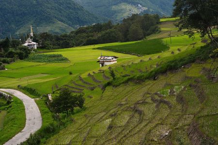 Photo of Arunachal Pradesh: Your Ultimate Guide To 10 Days In India's Least Explored State