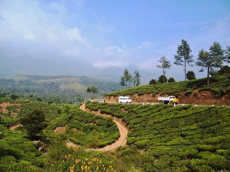 Photo of Have Only 48 Hours in Munnar? Here's A Complete Guide On What To See And Do