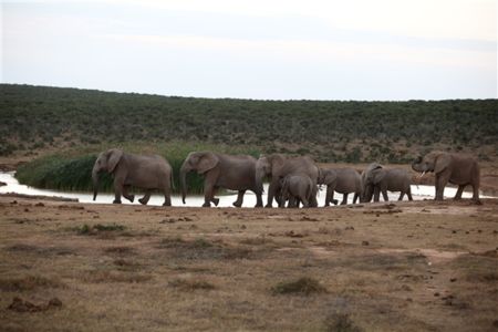 Photo of Learn "South Africa"