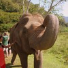 Lavi Travel Blogger