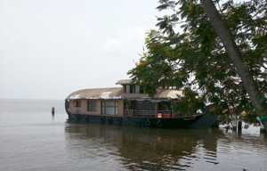 Backwater Bliss