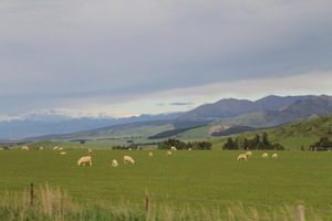 New Zealand Without a Car- Travel Blog- Guest Post