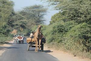 Little & Greater Rann