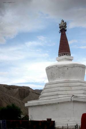 Ladakh # TripotoShoots