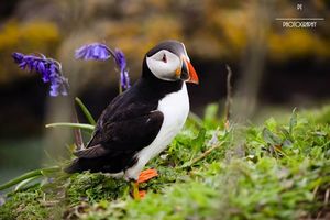 The complete travel guide – Scholar of Scotland