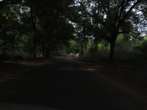 WoW Yercaud!