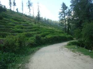 OLD HINDUSTAN TIBET ROAD