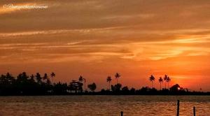 Vintage Dreams in Alleppey