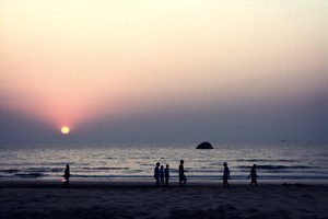 Bioluminescence In India South Goa