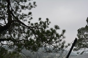 Mcleodganj - The suburb of Dharamsala.