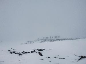 Stok Kangri Peak First Ascent in Leh (6125 M)