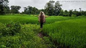 Monsoon Musings in 30 Photos : A Glimpse of my 2017 Rain Journey
