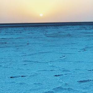 Rann Utsav - December 2016