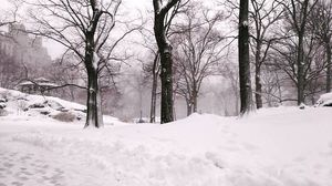 New York Diaries 01- When snow storm took over NYC #TripotoShoots