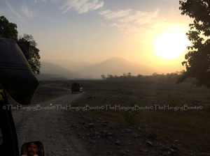 Tranquillity Gets Synonym In Pawalgarh Conservation Reserve Of Corbett