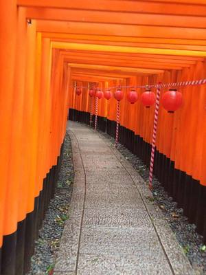 TOP 10 Tips And Tricks For Traveling To Japan