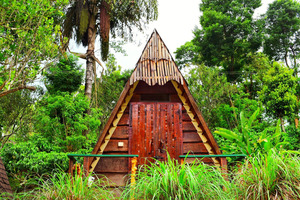 A FAIRY TALE HOMESTAY