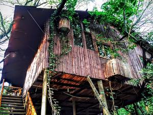 Tree House Resort Jaipur Kalwad Kalan And Khurd India View