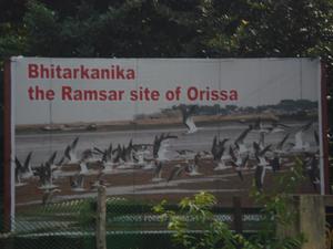 Bhitarkanika, a lesser known National Park of India