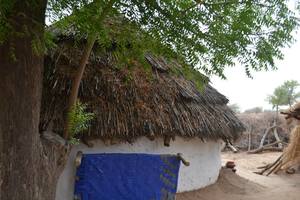Vintage Voyage to the Blue City - Jodhpur