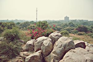 Jawaharlal Nehru University 1/2 by Tripoto