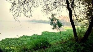 Okhla Bird Sanctuary 1/6 by Tripoto