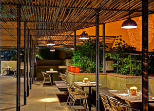 Cafe Lota 1/4 by Tripoto