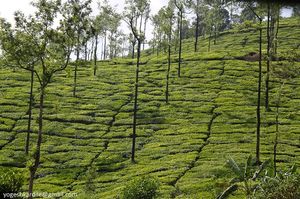 Kudremukh National Park 1/4 by Tripoto