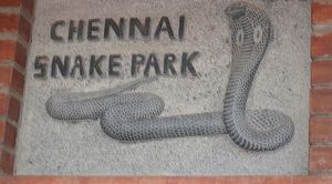 Chennai Snake Park 1/1 by Tripoto