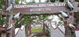 Vedanthangal Bird Sanctuary 1/1 by Tripoto