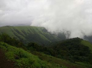 The misty way to Kodachadri