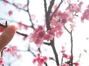 Yangmingshan National Park 1/1 by Tripoto