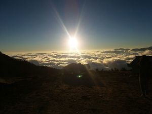 #SwipeRightToTravel.Sndakphu, Way To Heaven…Combination Of Nepal And India.