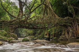 Nilgiri Mountains 1/4 by Tripoto