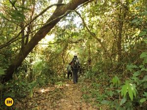 10 Do-It-Yourself Treks Near Bangalore