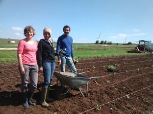 WWOOFING: Another way to travel the world for free –