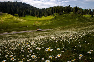 7 Days, 442km: Exploring Sufi Trails And Wazwaan Wonders In Kashmir
