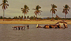 Barra de Navidad 1/1 by Tripoto