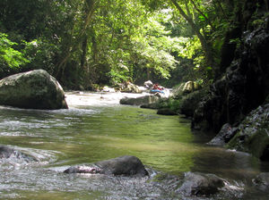Ayung River 1/4 by Tripoto